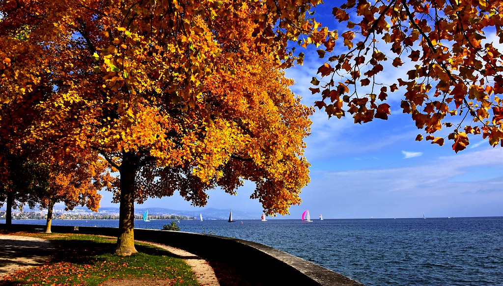 balades.automne.morges.maison igor.ch